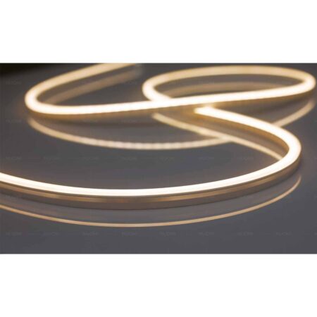 Common Light Series Led Silicone Light Strip 3